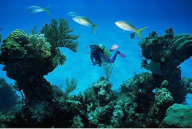 免费星战游戏《星球大战：猎人》再次延期